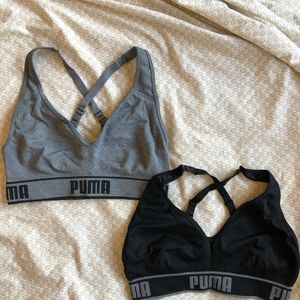 Puma sports bras